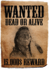 wanted-poster.png
