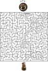 Labyrinth_Task.jpg