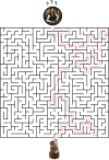 Labyrinth_Task_SZG.png